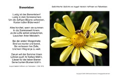 Bienenleben-Fallersleben.pdf